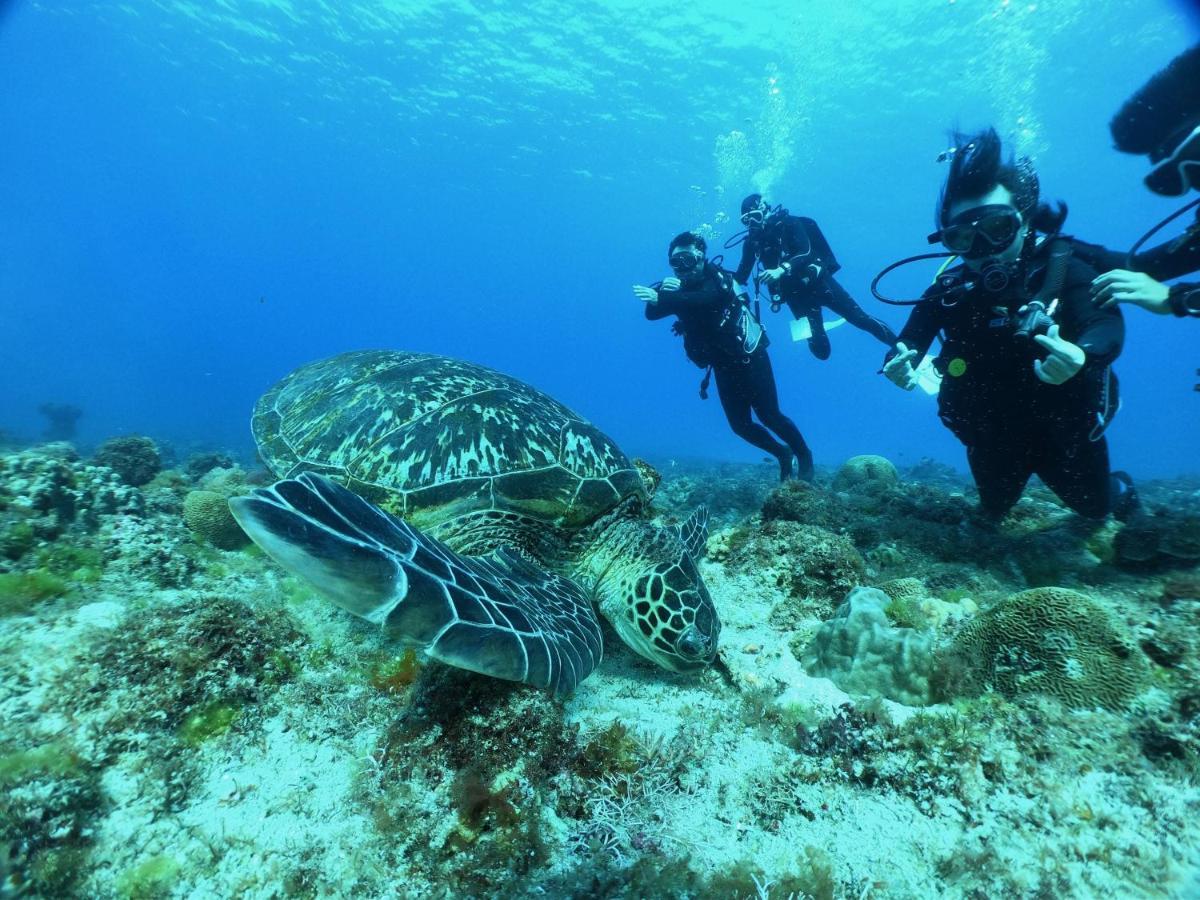 Stay Liuqiu Diving Hostel เสี่ยวหลิวฉิว ภายนอก รูปภาพ