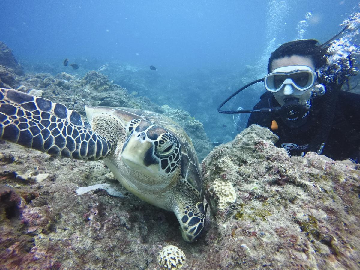 Stay Liuqiu Diving Hostel เสี่ยวหลิวฉิว ภายนอก รูปภาพ