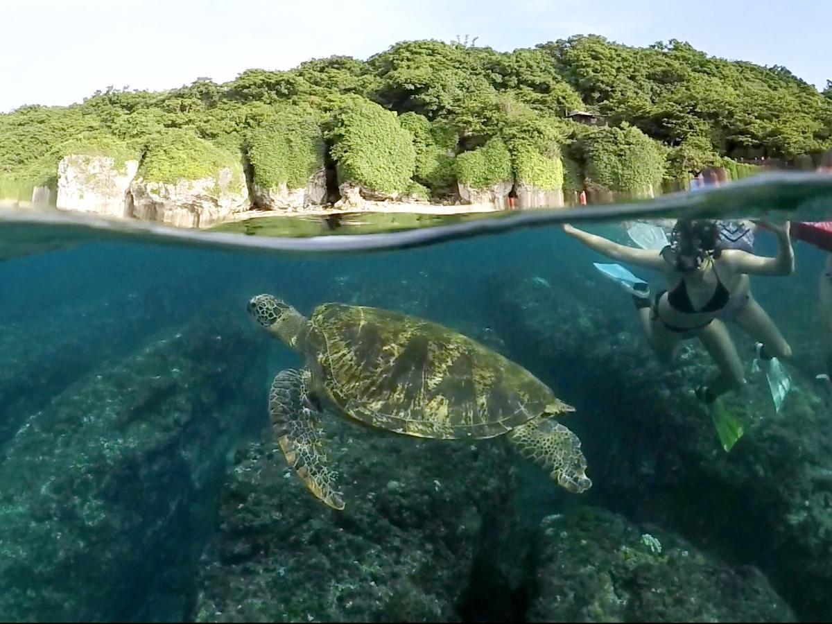 Stay Liuqiu Diving Hostel เสี่ยวหลิวฉิว ภายนอก รูปภาพ